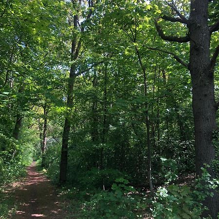 De Bosrand Grenzend Aan Het Bos Βίλα Castricum Εξωτερικό φωτογραφία