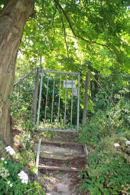 De Bosrand Grenzend Aan Het Bos Βίλα Castricum Εξωτερικό φωτογραφία