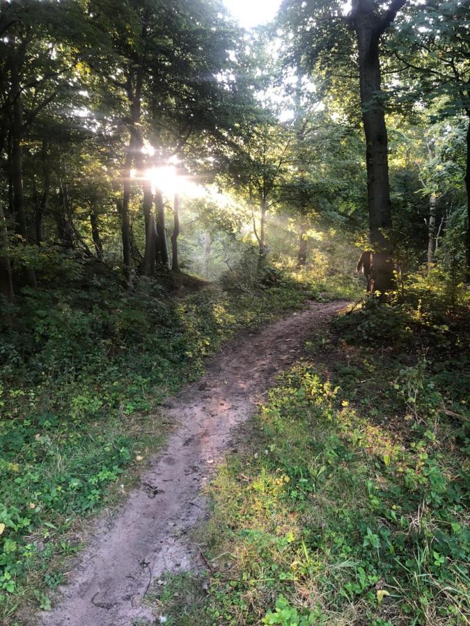 De Bosrand Grenzend Aan Het Bos Βίλα Castricum Εξωτερικό φωτογραφία